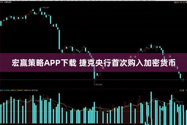 宏赢策略APP下载 捷克央行首次购入加密货币
