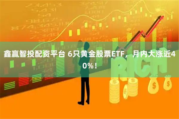 鑫赢智投配资平台 6只黄金股票ETF，月内大涨近40%！