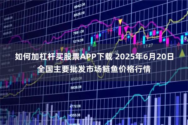 如何加杠杆买股票APP下载 2025年6月20日全国主要批发市场鲢鱼价格行情